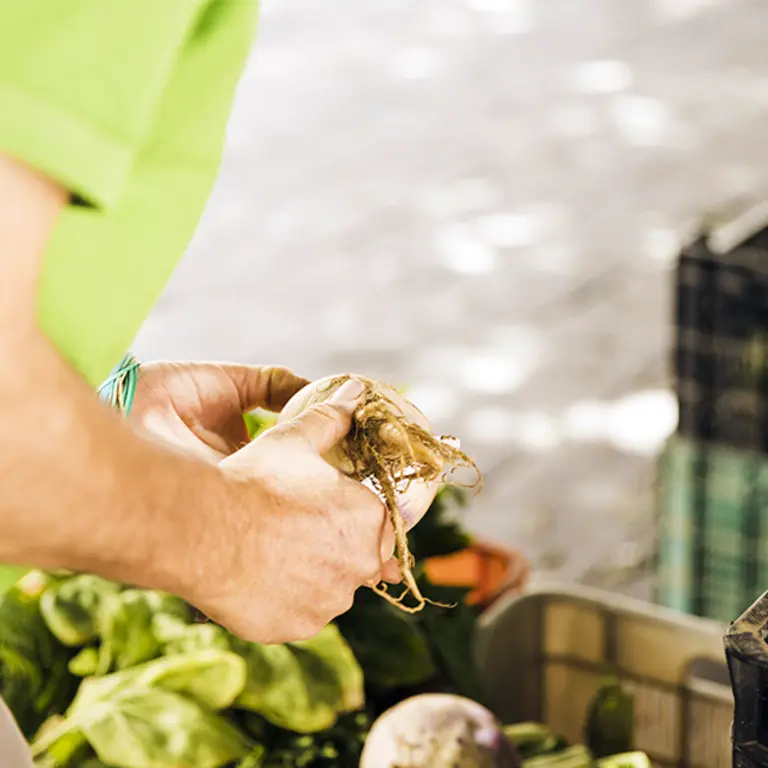 Valorisation de nos dechets 650 px