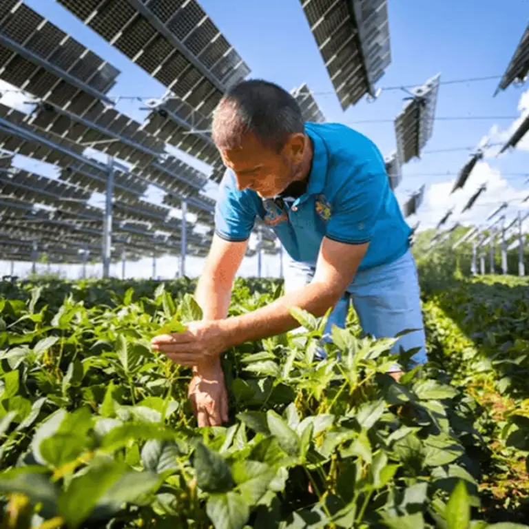 Nos offres à Impact Positif