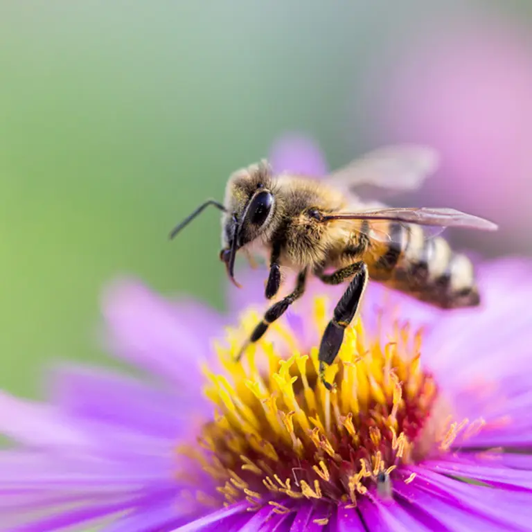 Fermes Leader Laboratoire d'Innovation InVivo Ag°